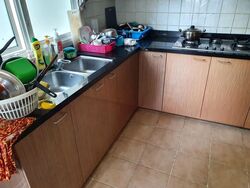 The Tropica (D18), Condominium #575896051